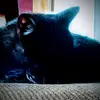 kenzie_#mckenzie - @mckenzie_shortvibes - TikTok