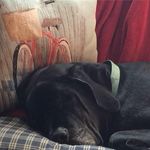 Mary Rose Mckenzie Short - @maryrshort - Instagram