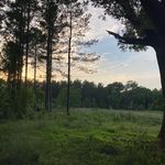 Sullivan Mckenzie - @sullivan_mckenzie - Instagram