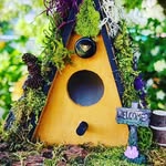 McKenzie Thomas - @mckenziesbirdbungalows - Instagram