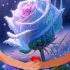 Md Billah - @user206850178 - TikTok