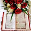 MD Naser - @md.naser767 - TikTok