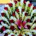 Md Naser Hussan - Facebook