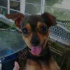 MD Richards - @2175115111 - TikTok