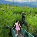 Mea Ann Rivera Solano - @meathology96 - Instagram