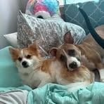 Megan Bryant - Facebook