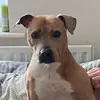 Megan Burt - @meganburt44 - TikTok