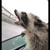 meagandavid775 - @meagandavid775 - TikTok