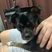 Megan Gail Hackett - Facebook