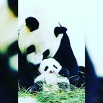Dobrey Konupka - @meaganhartry2018 - Instagram