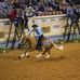 National Morgan Reining Horse Association - Facebook