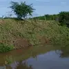 MeaganLamb - @sandrdcf0d7 - TikTok