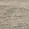 Meaghan Larson - @meaghan.larson - TikTok