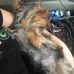 Megan Mathis - Facebook