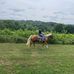 Megan McLaughlin - Facebook