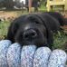 Megan Elizabeth McLean - Facebook