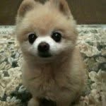 Cute-is-my-thing - @meaganoliver5432 - Instagram