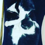Meagan Raysin - @meagan_raysin_2020 - Instagram