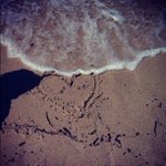 Meagan roy - @hobondia - Instagram