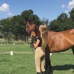 -Meagan Schultz 🤪 - @meagan_equestrian.x - Instagram