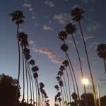 Meghan Sheehan - @vortexmegs - Instagram