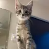 Meagan Weaver832 - @meagbeag42069 - TikTok