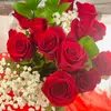 Meagan Weaver - @user594044624 - TikTok