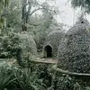 meaganwebster2 - @meaganwebster2 - TikTok