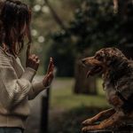 Meagan Forsht - @wolf_studios_meagan - Instagram