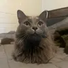 Meaghan Adams - @meaghanadams1 - TikTok