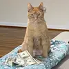 Peanut’s mom - @meaghancarr21 - TikTok