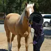Meaghan Coleman - @meaghan.coleman - TikTok