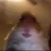 Megan Conlisk - @meganconlisk3328 - TikTok