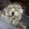 Meaghan Cooper - @meaghan_cooper20 - TikTok