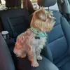 Meaghan Cooper - @meaghan.cooper - TikTok