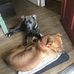 Megan Dietrich - Facebook
