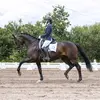 Meaghan Gallagher - @meaghangall - TikTok