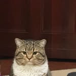 Megan Henderson - @henderson12_megarhj - Instagram