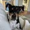 Meagan Meyer - @meaganmeyer - TikTok