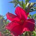 Meaghan Meyer - Facebook