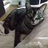meaghanmonaghan61 - @meaghanmonaghan61 - TikTok