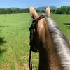 Meaghan Morris - @meaghanmorris87 - TikTok