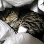 Meaghan Phillips - @meaghan.phillips.75 - Instagram