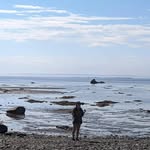 Coralie Lambert - @mean__bean__ - Instagram