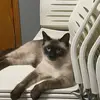 Mean Bean - @meanbean58 - TikTok