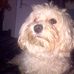 Mechelle Roberts - Facebook