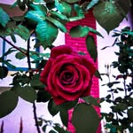 @medsami57 - Instagram