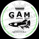 メダカ市inグリーンアクアリウム マルヤマ - @medakaichi.in.greenaquarium - Instagram