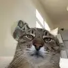 medagreenhorns - @medagreenhorns - TikTok