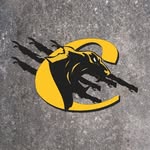 Medgar Evers College Athletics - @medgareverscougars - Instagram